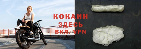 шишки Белоозёрский