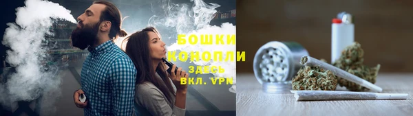 шишки Белоозёрский