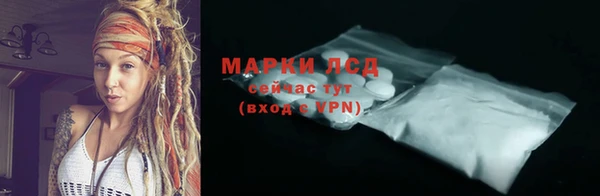 шишки Белоозёрский