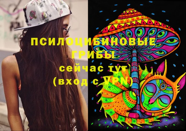 кокс Баксан